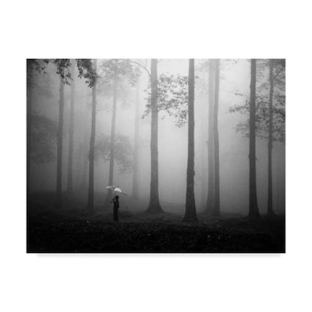 Hengki Lee 'After The Rain Children' Canvas Art,24x32